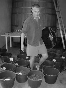 Winemaker, Reed Skupny